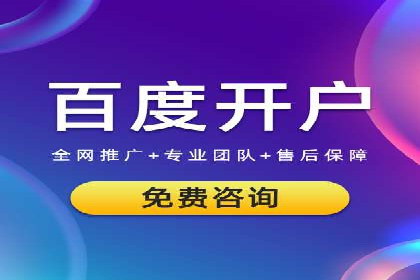 百度移动端应用推广策略探讨